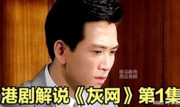 灰网-在线观看,揭秘在线观看背后的秘密世界