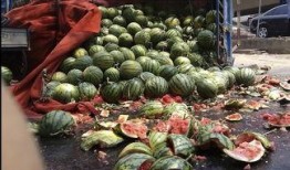 郑州新瓜最新爆料,揭秘郑州最新热点事件背后的真相